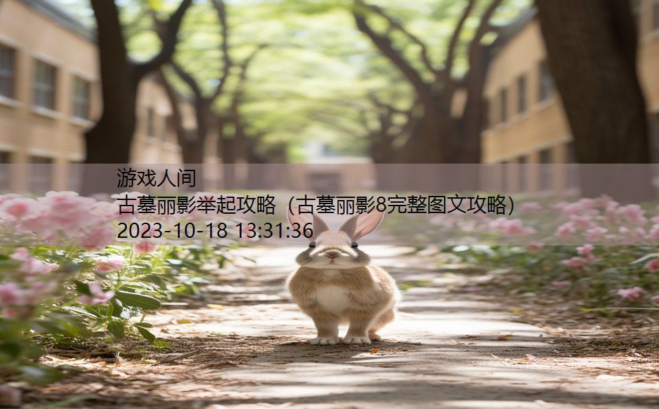 古墓丽影举起攻略(古墓丽影8完整图文攻略) 古墓丽影举起攻略(古墓丽影8完整图文攻略)