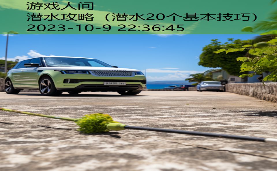 潜水攻略(潜水20个基本技巧) 潜水攻略(潜水20个基本技巧)