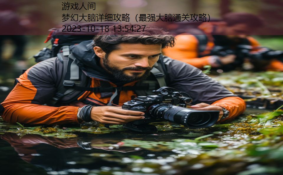 梦幻大脑详细攻略(最强大脑通关攻略) 梦幻大脑详细攻略(最强大脑通关攻略)