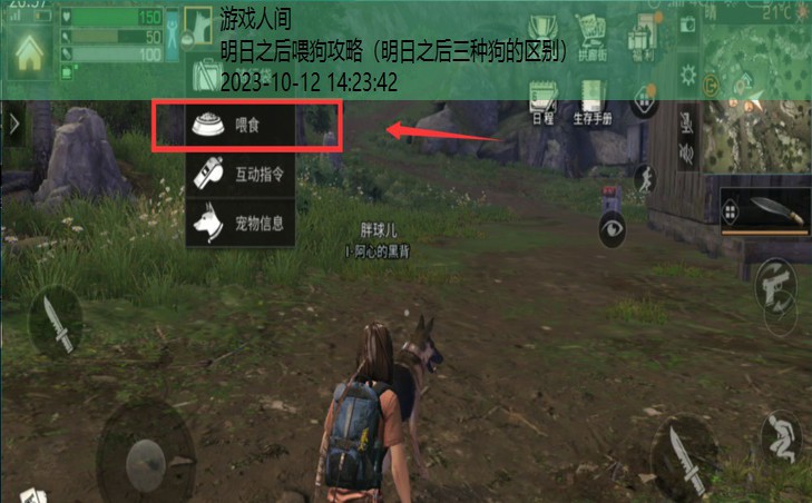 明日之后喂狗攻略