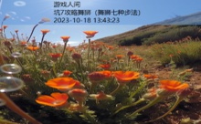 坑7攻略舞狮-游戏人间