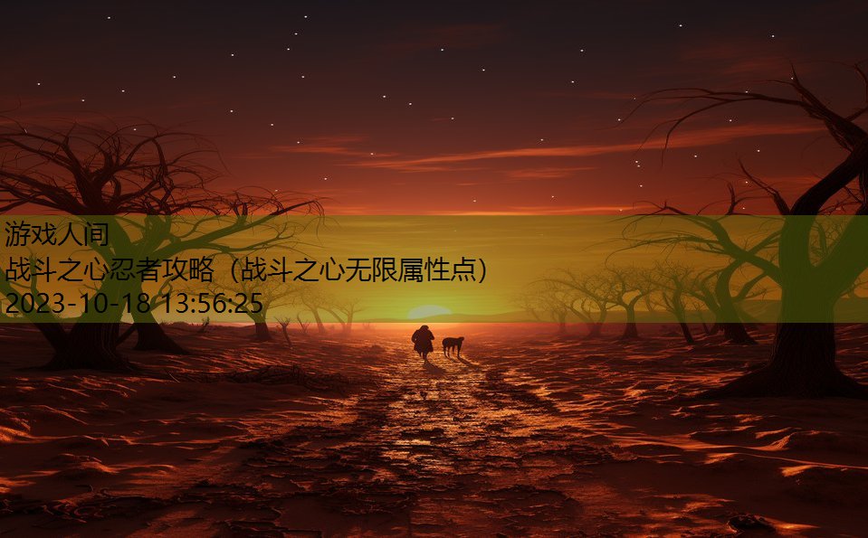战斗之心忍者攻略(战斗之心无限属性点) 战斗之心忍者攻略(战斗之心无限属性点)