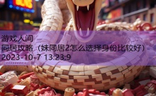 同居攻略-游戏人间