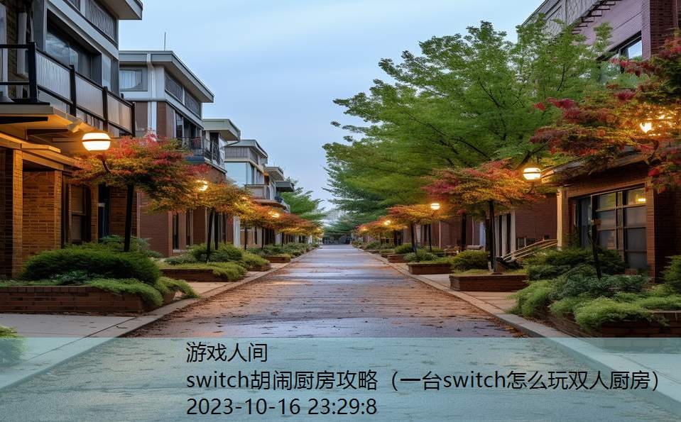 switch胡闹厨房攻略（一台switch怎么玩双人厨房）