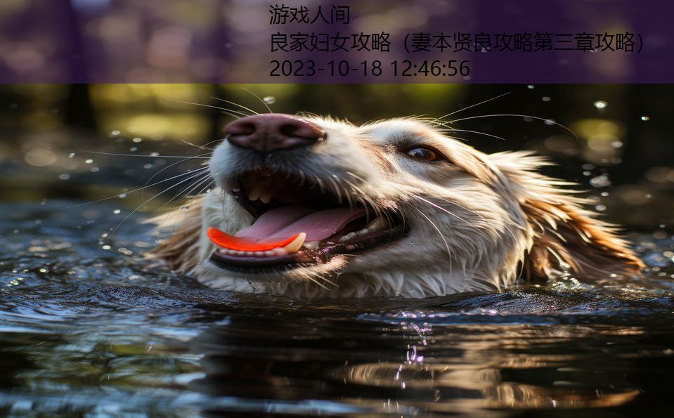 良家妇女攻略(妻本贤良攻略第三章攻略) 良家妇女攻略(妻本贤良攻略第三章攻略)