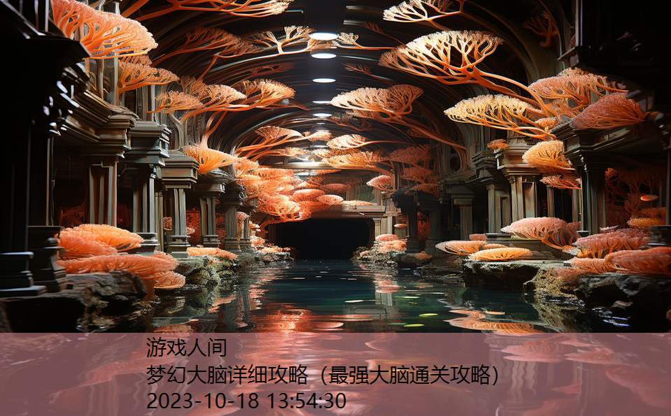 梦幻大脑详细攻略(最强大脑通关攻略) 梦幻大脑详细攻略(最强大脑通关攻略)