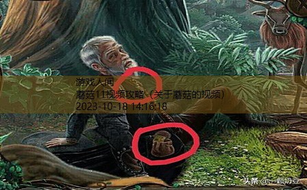 蘑菇11第六关怎么过