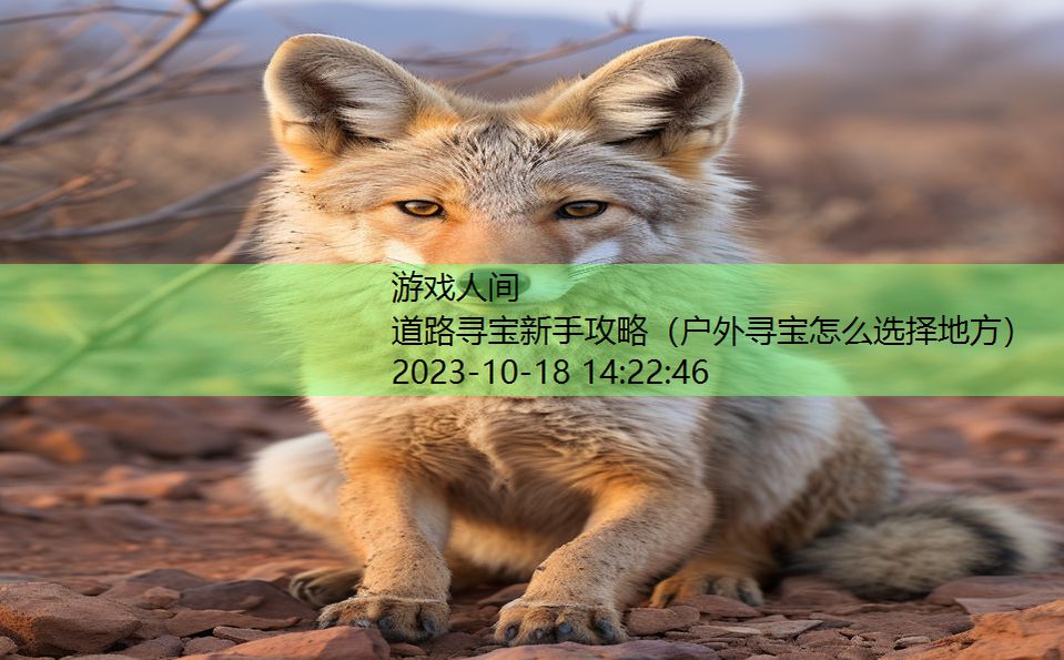 道路寻宝新手攻略（户外寻宝怎么选择地方）