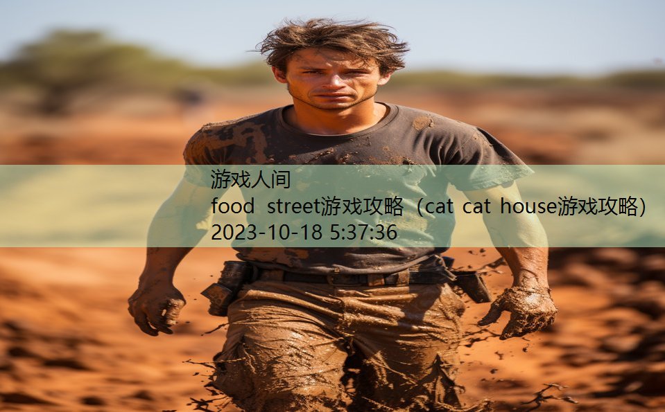 food street游戏攻略（cat cat house游戏攻略）