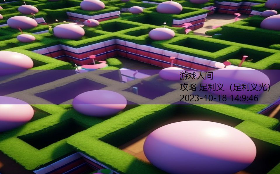攻略 足利义(足利义光) 攻略 足利义(足利义光)