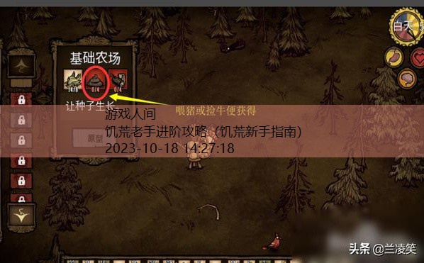 饥荒新手指南