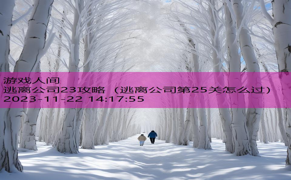 逃离公司23攻略（逃离公司第25关怎么过）