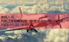 饥荒过冬攻略视频-游戏人间