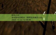 森林游戏攻略水-游戏人间