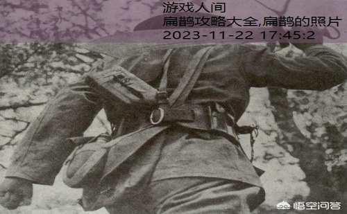 扁鹊的照片