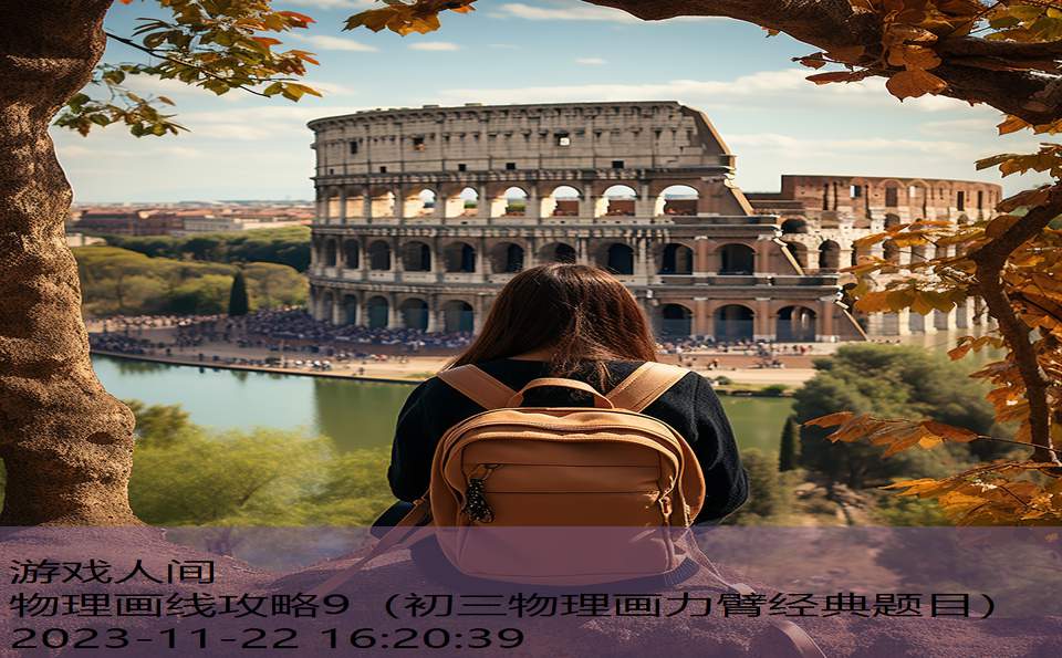 物理画线攻略9（初三物理画力臂经典题目）