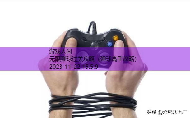 弹球达人内购