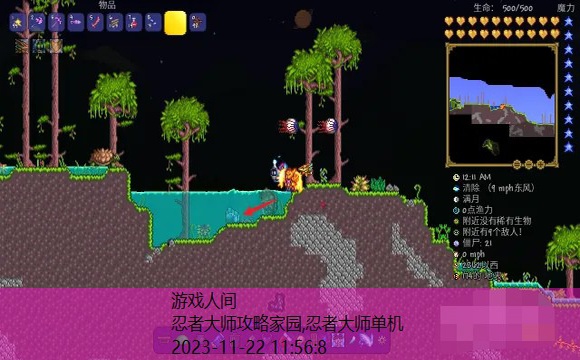 忍者大师游戏