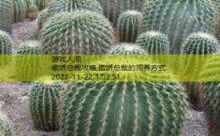 傲娇总裁攻略,傲娇总裁的饲养方式-游戏人间