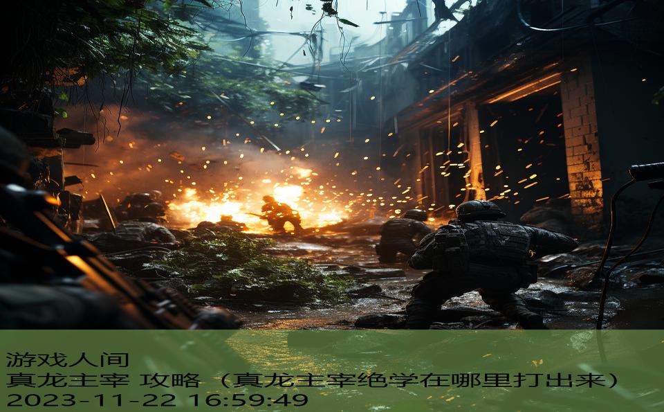 真龙主宰 攻略（真龙主宰绝学在哪里打出来）