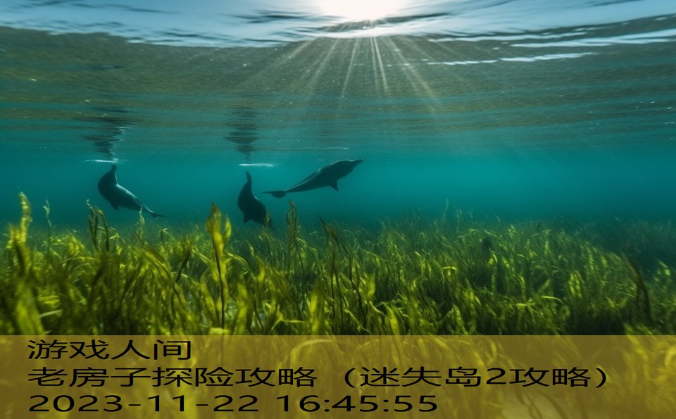 老房子探险攻略（迷失岛2攻略）