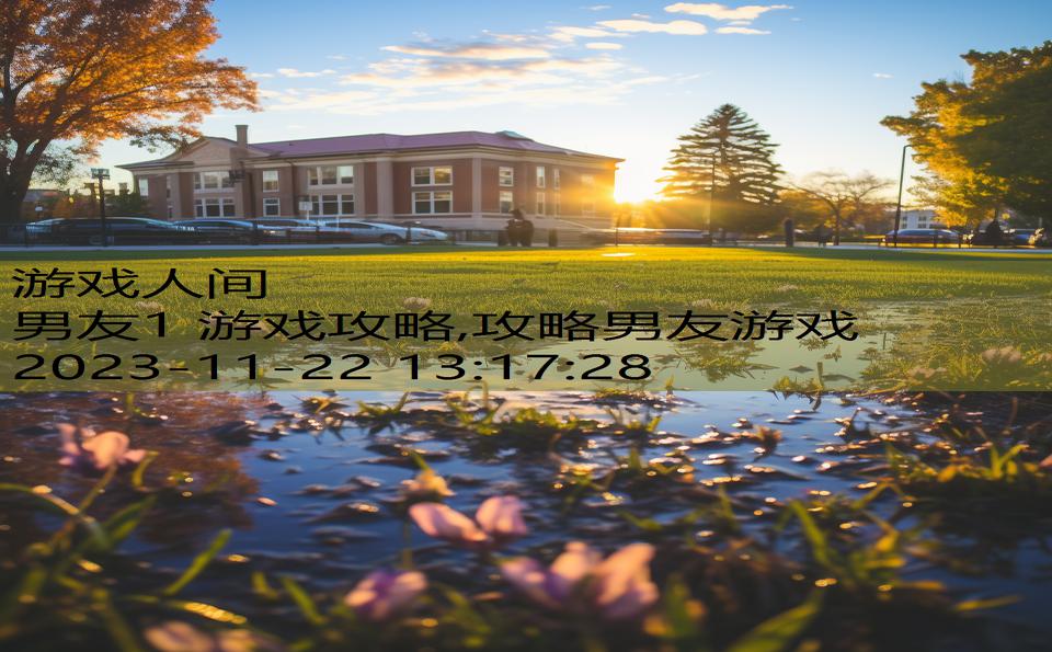 男友1 游戏攻略,攻略男友游戏