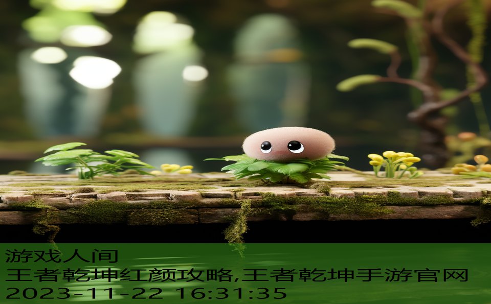 王者乾坤红颜攻略,王者乾坤手游官网