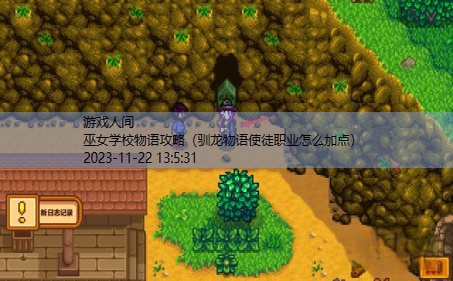 星露谷物语女巫的沼泽