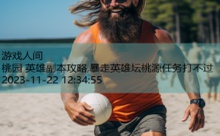 桃园 英雄副本攻略,暴走英雄坛桃源任务打不过-游戏人间