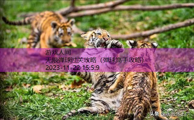 弹球达人内购