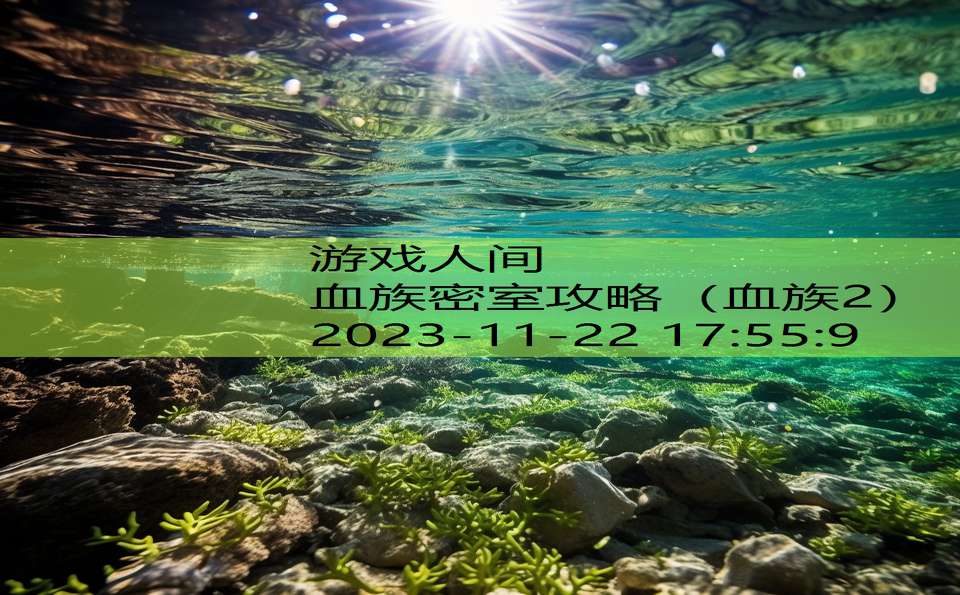 血族密室攻略（血族2）