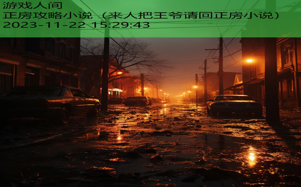 正房攻略小说（来人把王爷请回正房小说）