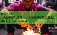 dnf盒子游戏攻略-游戏人间