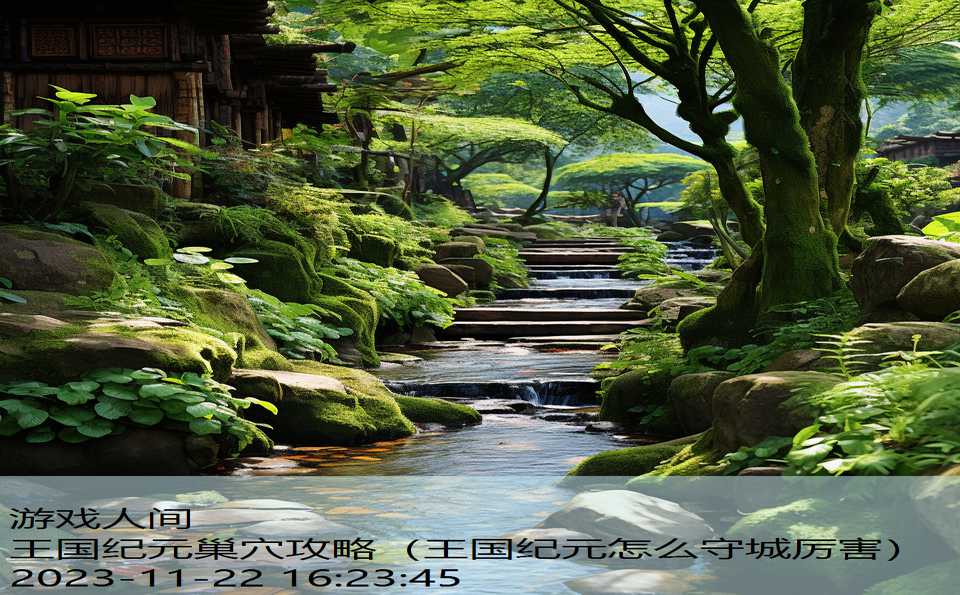 王国纪元巢穴攻略（王国纪元怎么守城厉害）