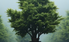 游戏森林攻略食物,森林游戏攻略地图-游戏人间