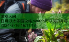 日月以太乐园攻略,switch可以玩日月吗-游戏人间