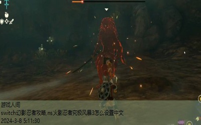 switch幻影忍者攻略