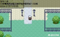 口袋妖怪白攻略一周目
