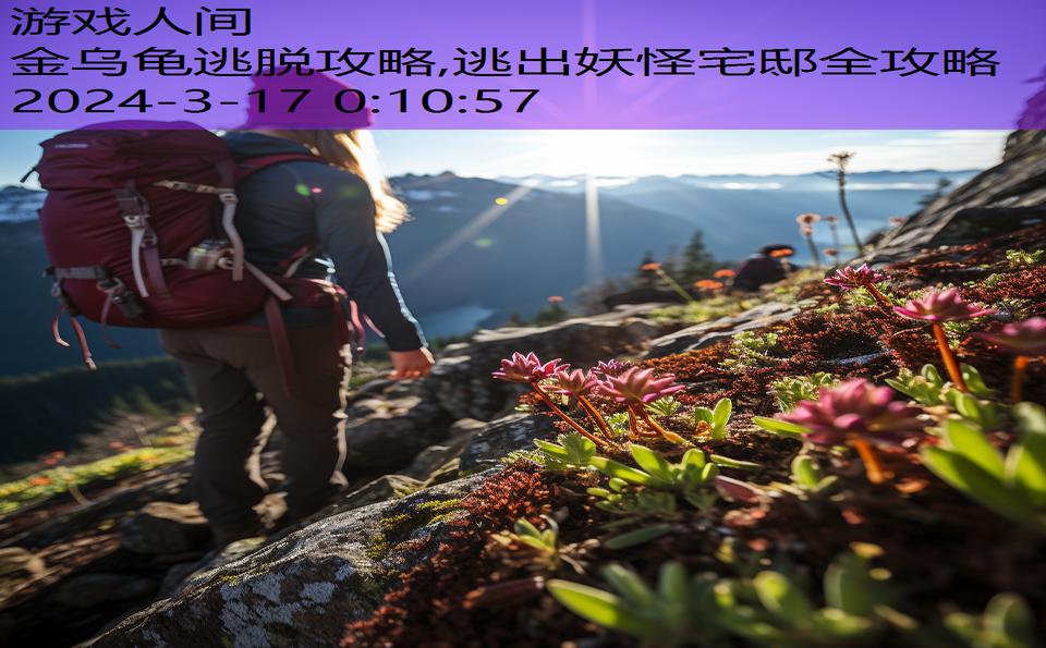 金乌龟逃脱攻略,逃出妖怪宅邸全攻略
