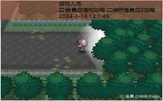 口袋黑白怪物攻略
