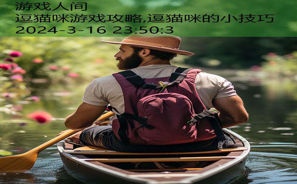 逗猫咪游戏攻略,逗猫咪的小技巧