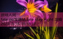fate go攻略站,fate stay night 攻略-游戏人间