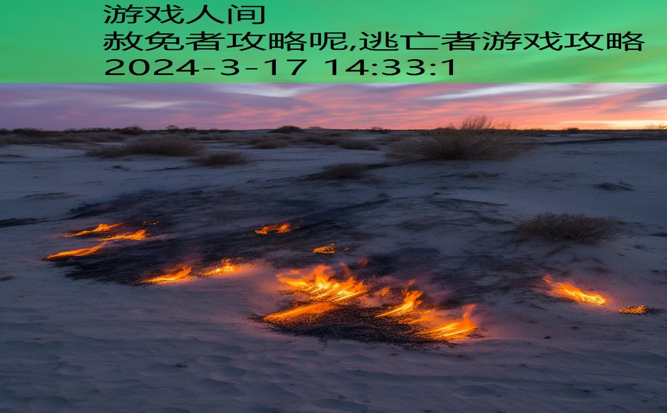赦免者攻略呢,逃亡者游戏攻略