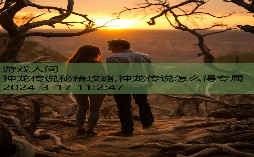 神龙传说秘籍攻略,神龙传说怎么得专属