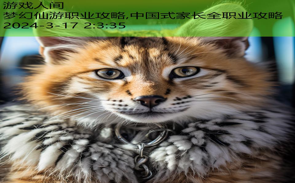梦幻仙游职业攻略,中国式家长全职业攻略