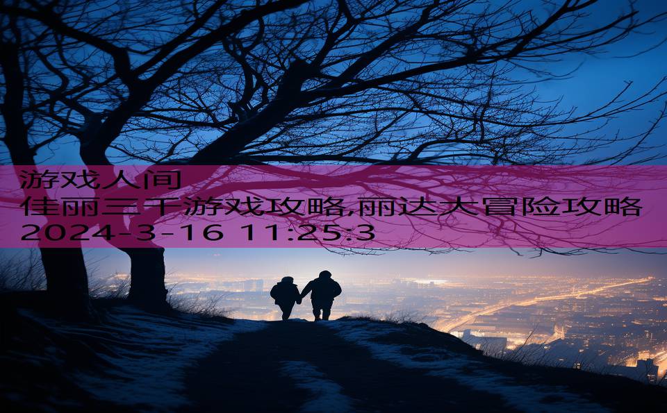 佳丽三千游戏攻略,丽达大冒险攻略