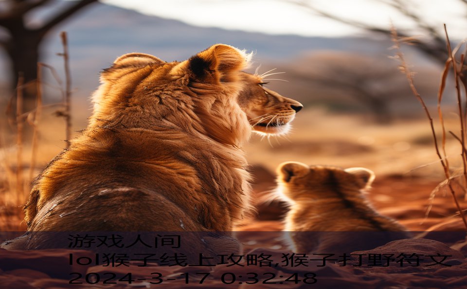 lol猴子线上攻略,猴子打野符文