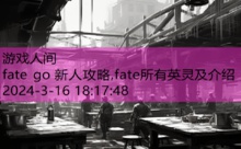 fate go 新人攻略,fate所有英灵及介绍-游戏人间