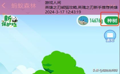 熊猫守护者怎么才能获得证书啊