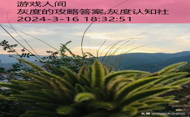 灰度的攻略答案